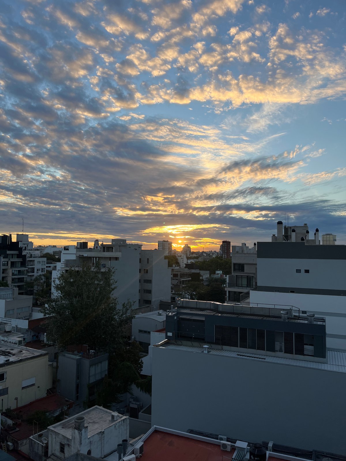 Buenos Aires evening: sunset cityscape and curious cat captured