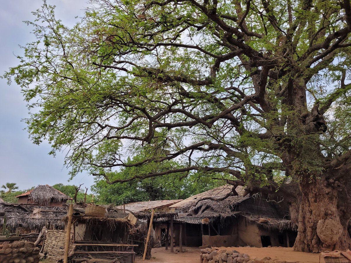 Rural village scenes documented over seven minutes