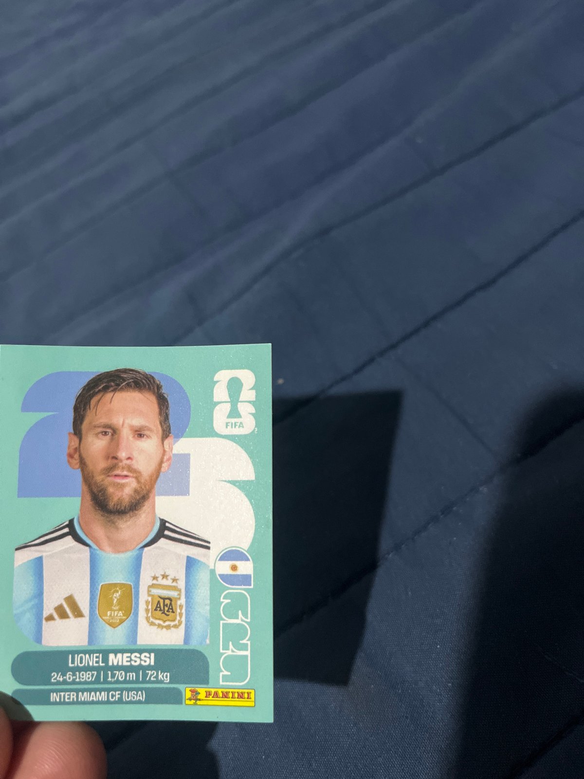 FIFA World Cup sticker collection documented in Buenos Aires