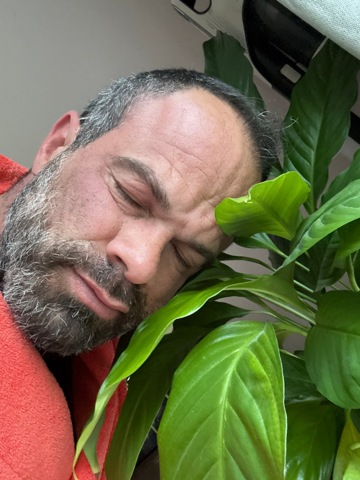 Man in robe captured resting with plants, child in Belgium