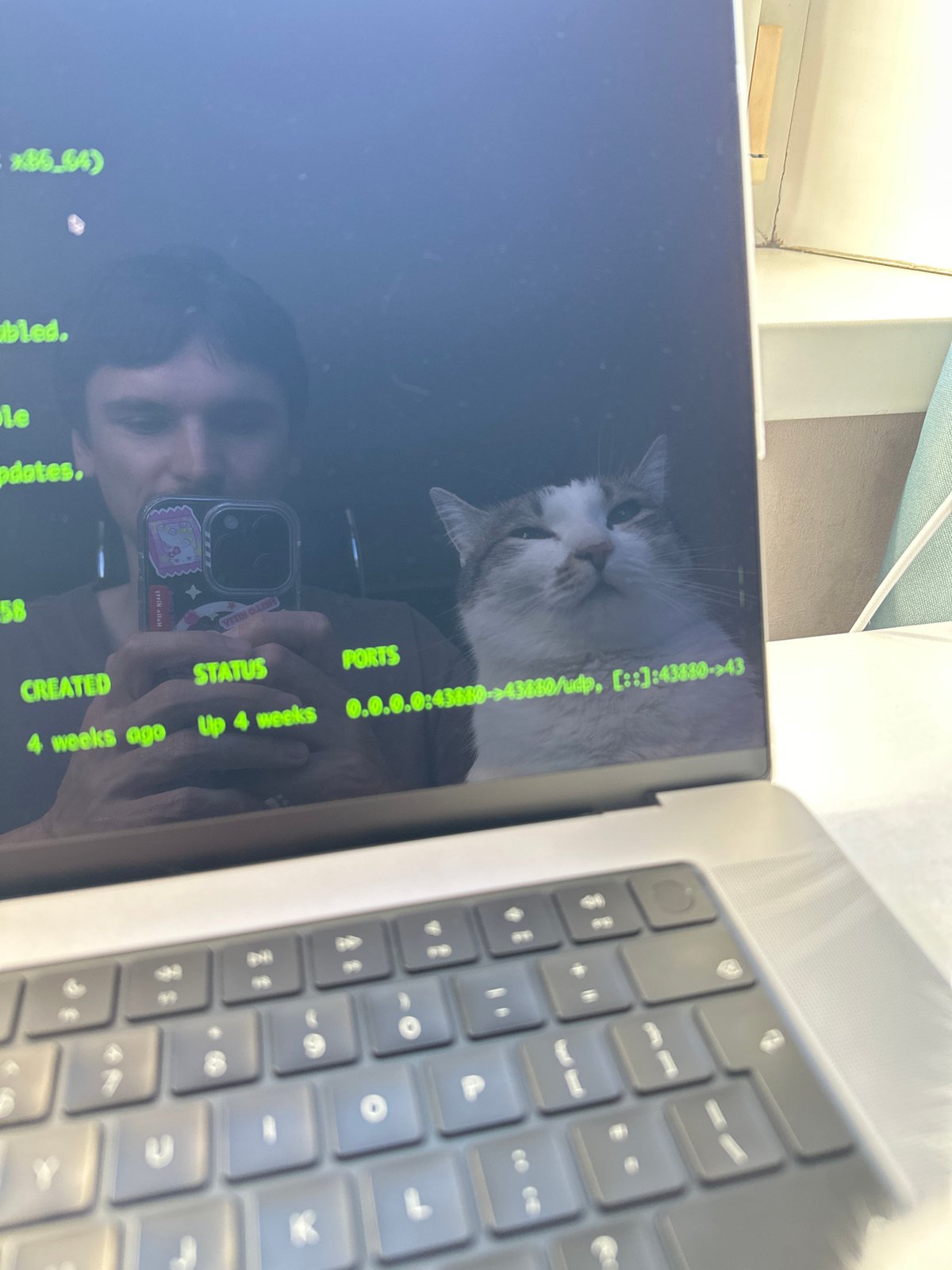 Cat observed in various indoor positions during morning in Krasnoyarsk