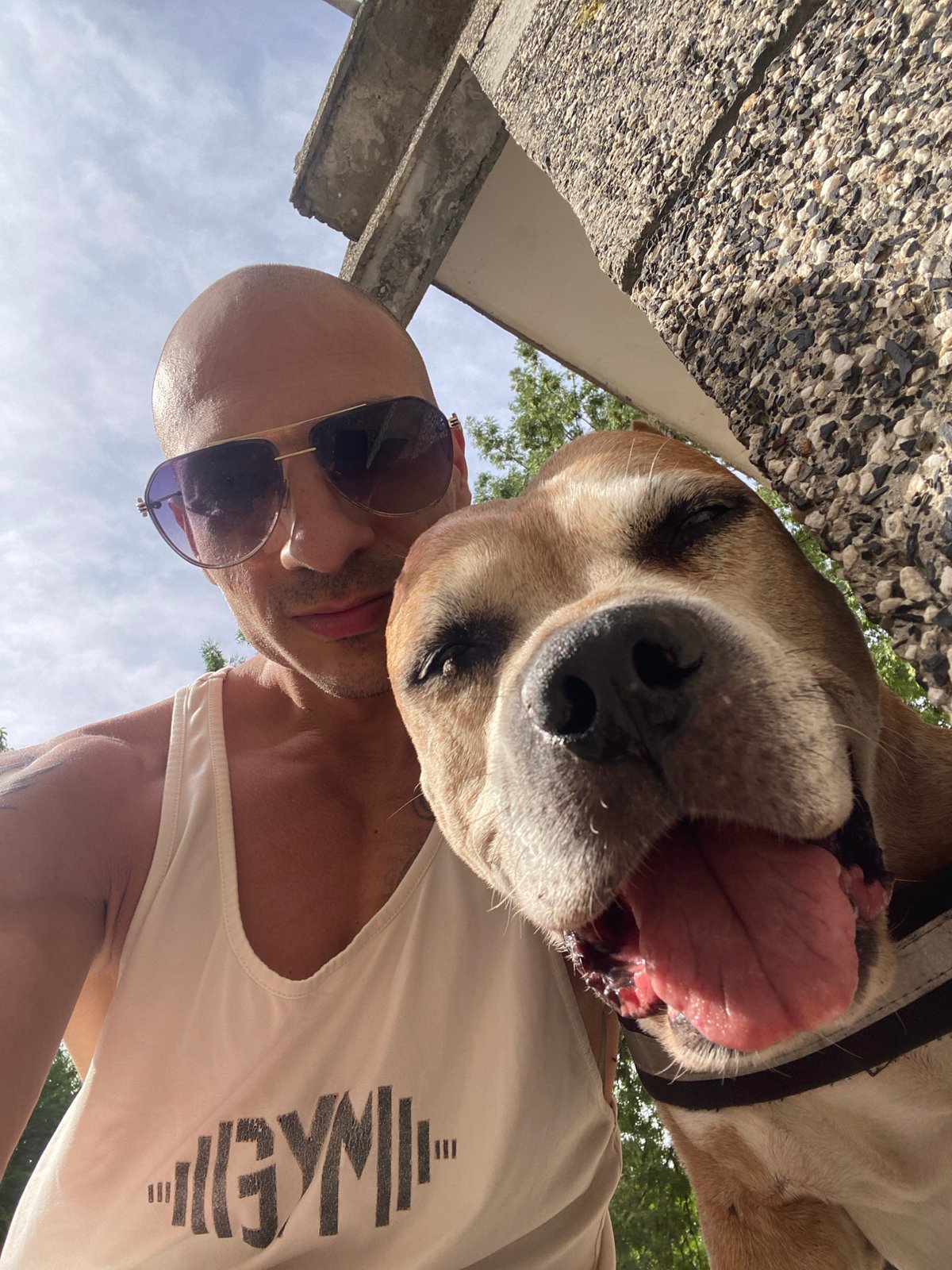 Afternoon out in Pleven with a pit bull in tow