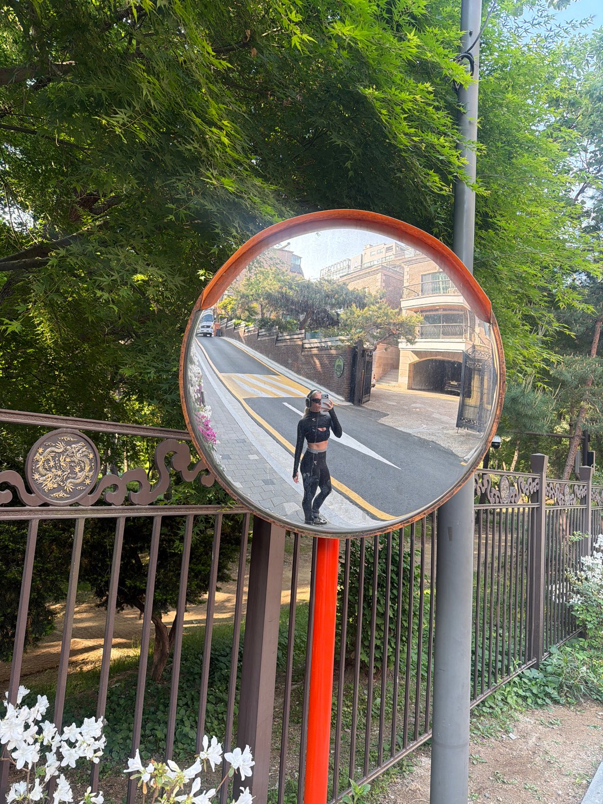 Traffic safety mirror spotted near decorative dragon fence in Seoul