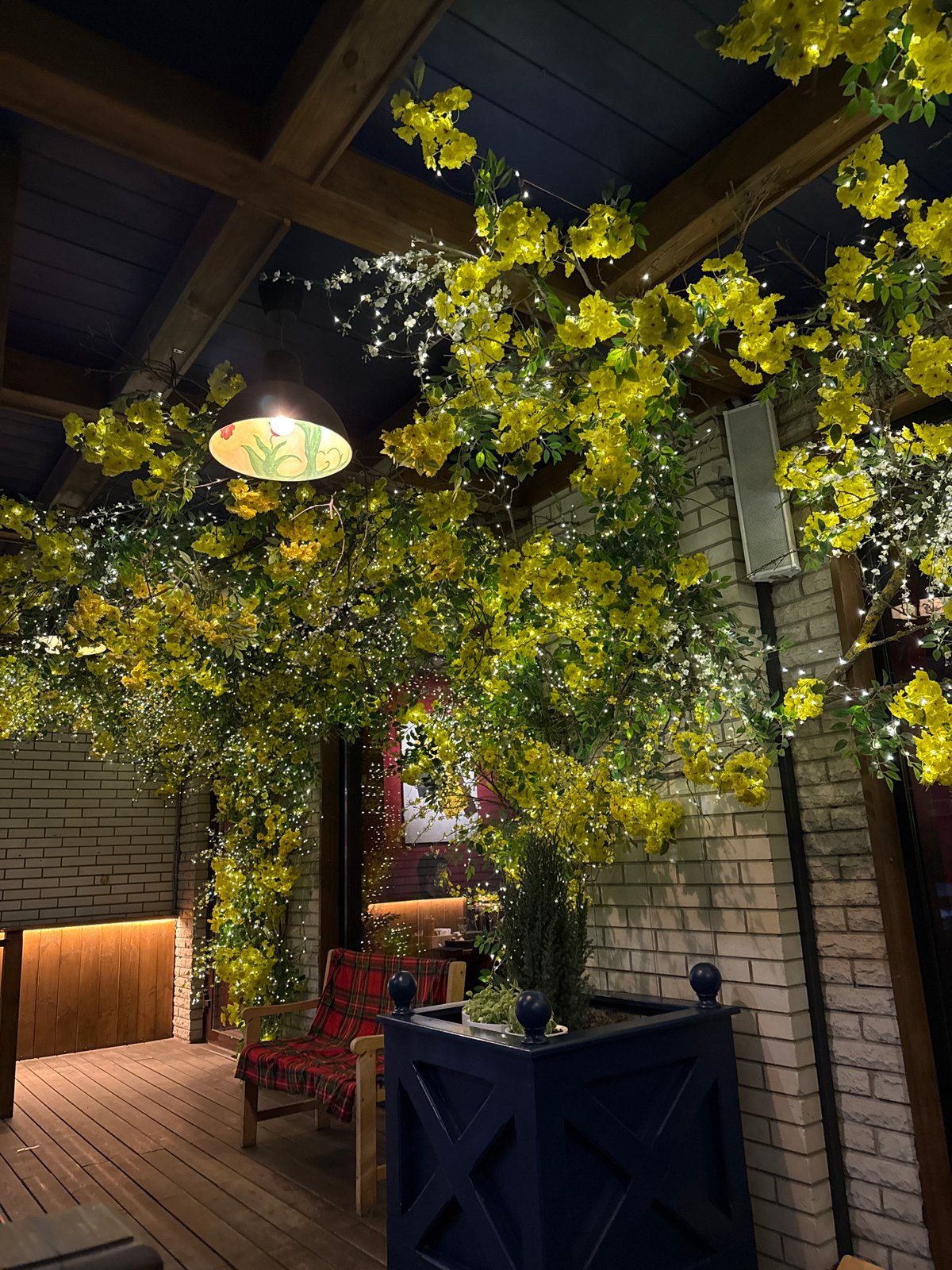 Festive outdoor cafe terrace documented in Rostov-on-Don evening