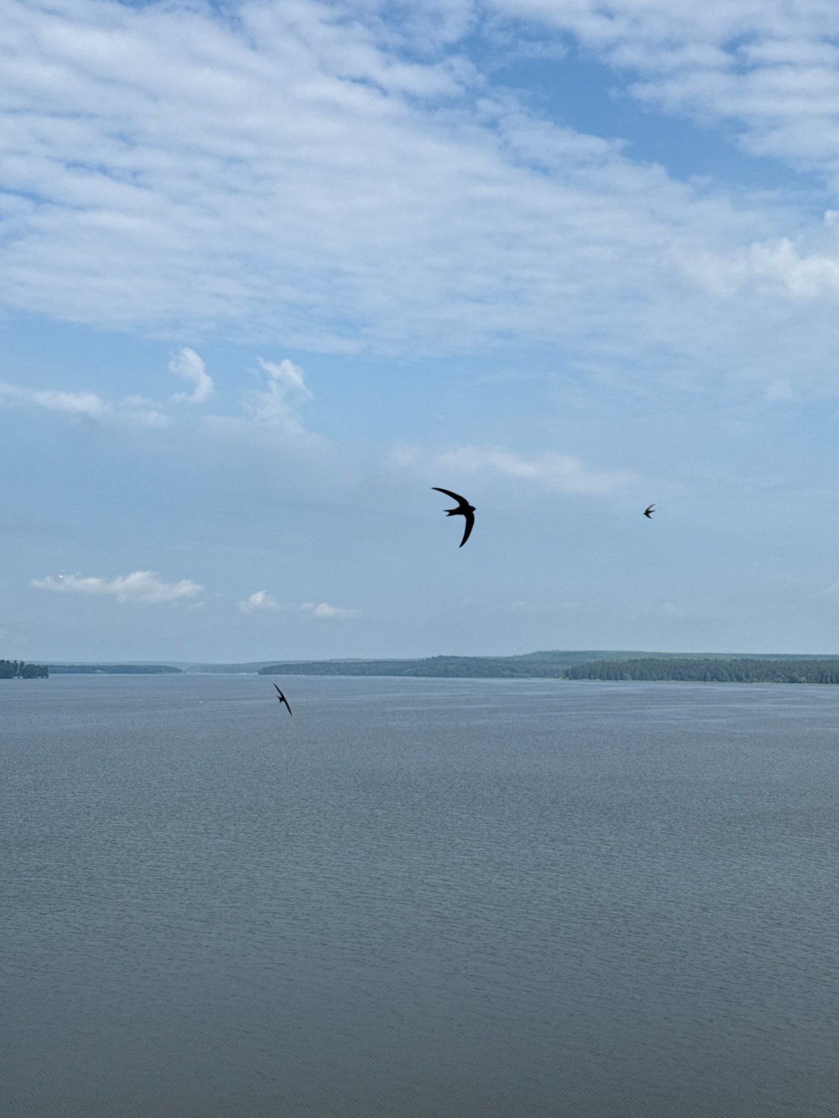 Calm morning on the Kama River and Votkinsk Reservoir