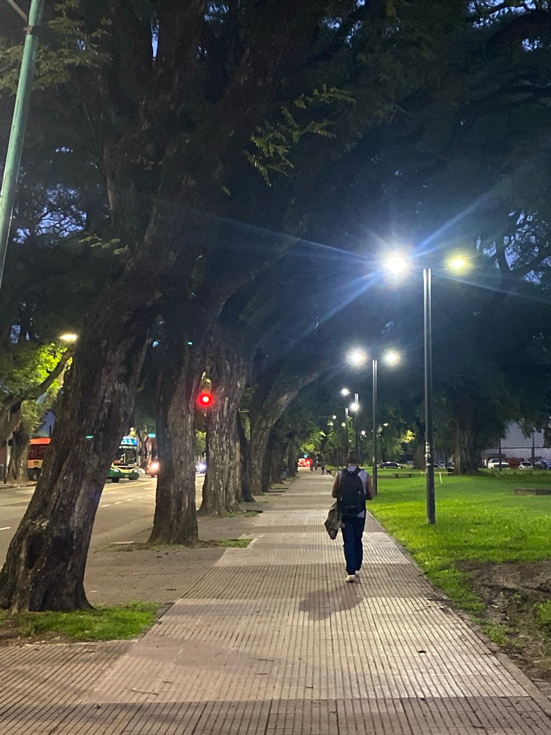 Evening pedestrian and cyclist activity observed in Buenos Aires