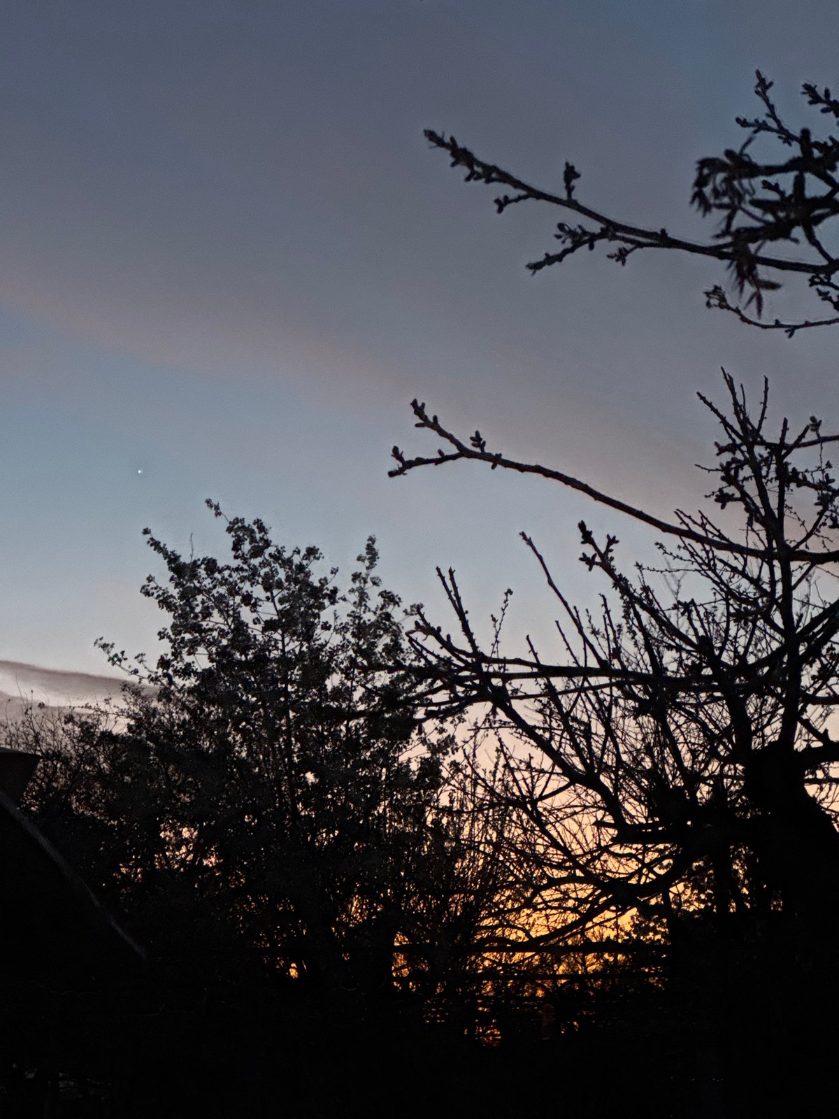 Stork nests on rooftop in Kozloduy, Bulgaria