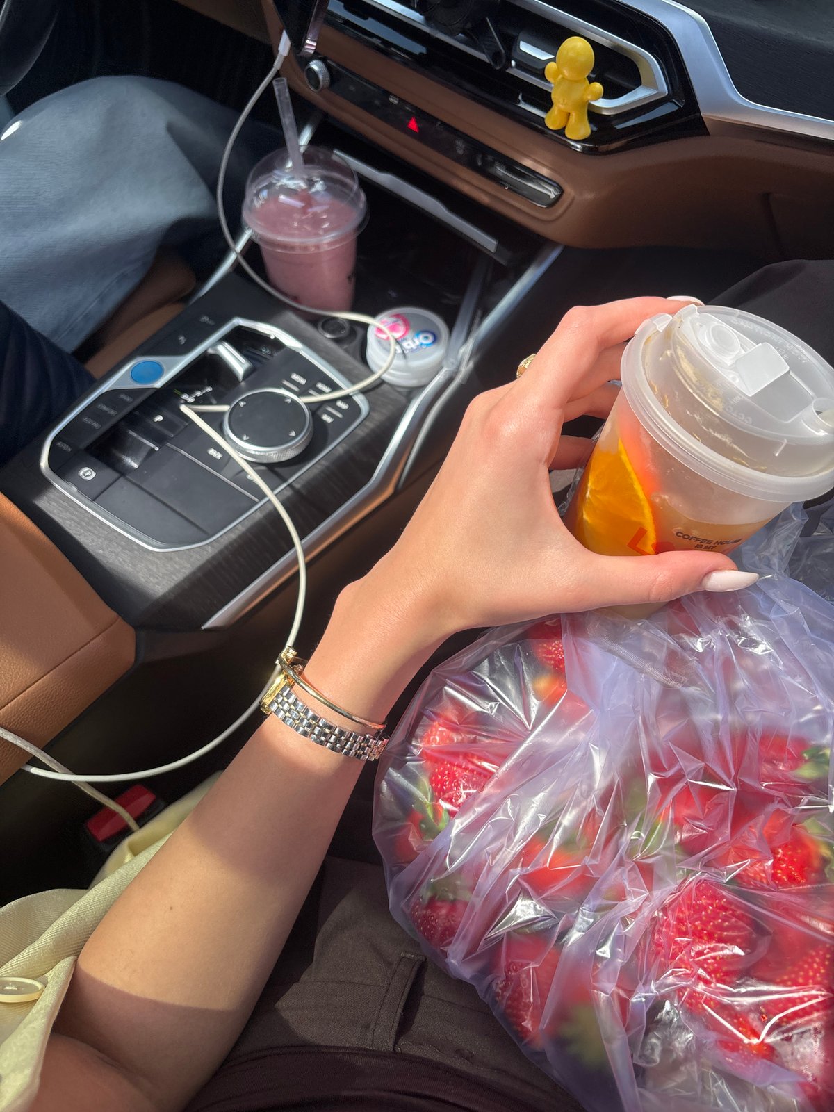 Fresh fruit consumption documented in Yerevan vehicle