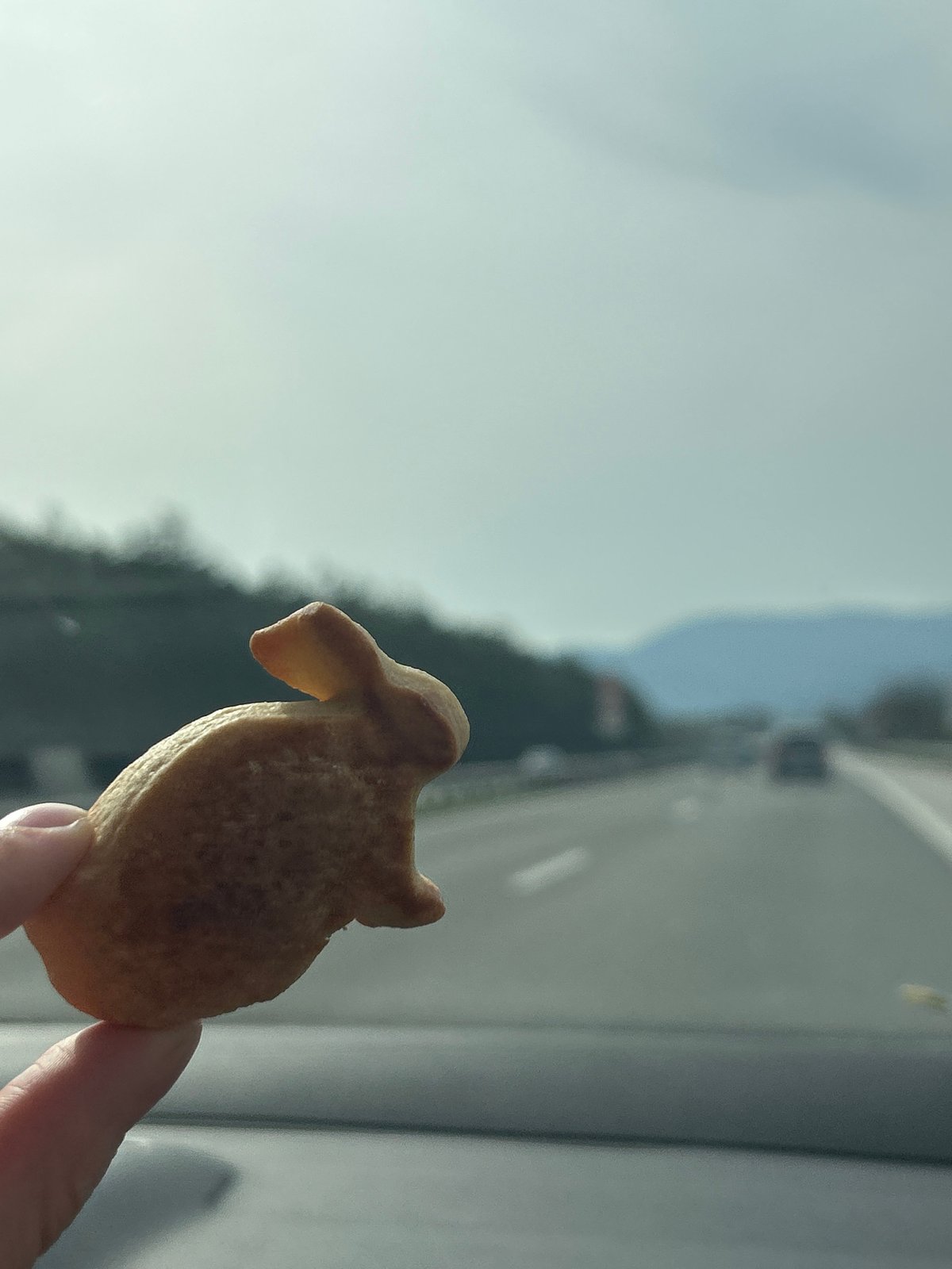 Animal-shaped cookies displayed during travel in Церово, Bulgaria
