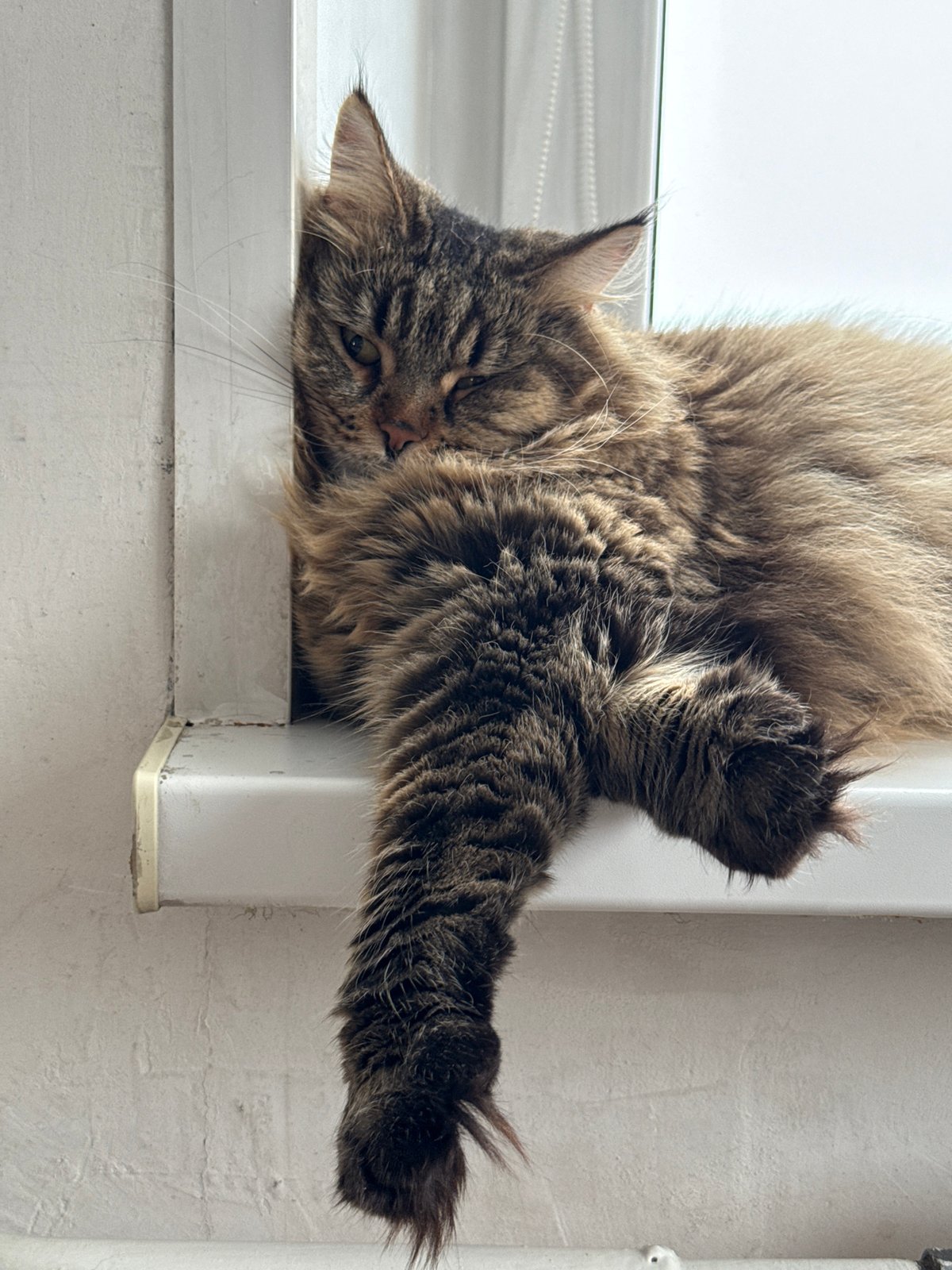 Morning routine captured with cat and selfies in Izhevsk