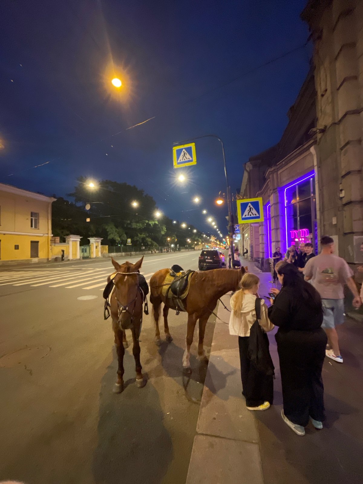 Late-night club scene in Saint Petersburg, horses waiting outside
