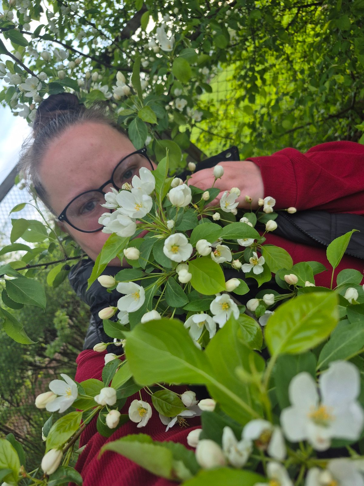 Person photographed with white flowering tree branch early morning