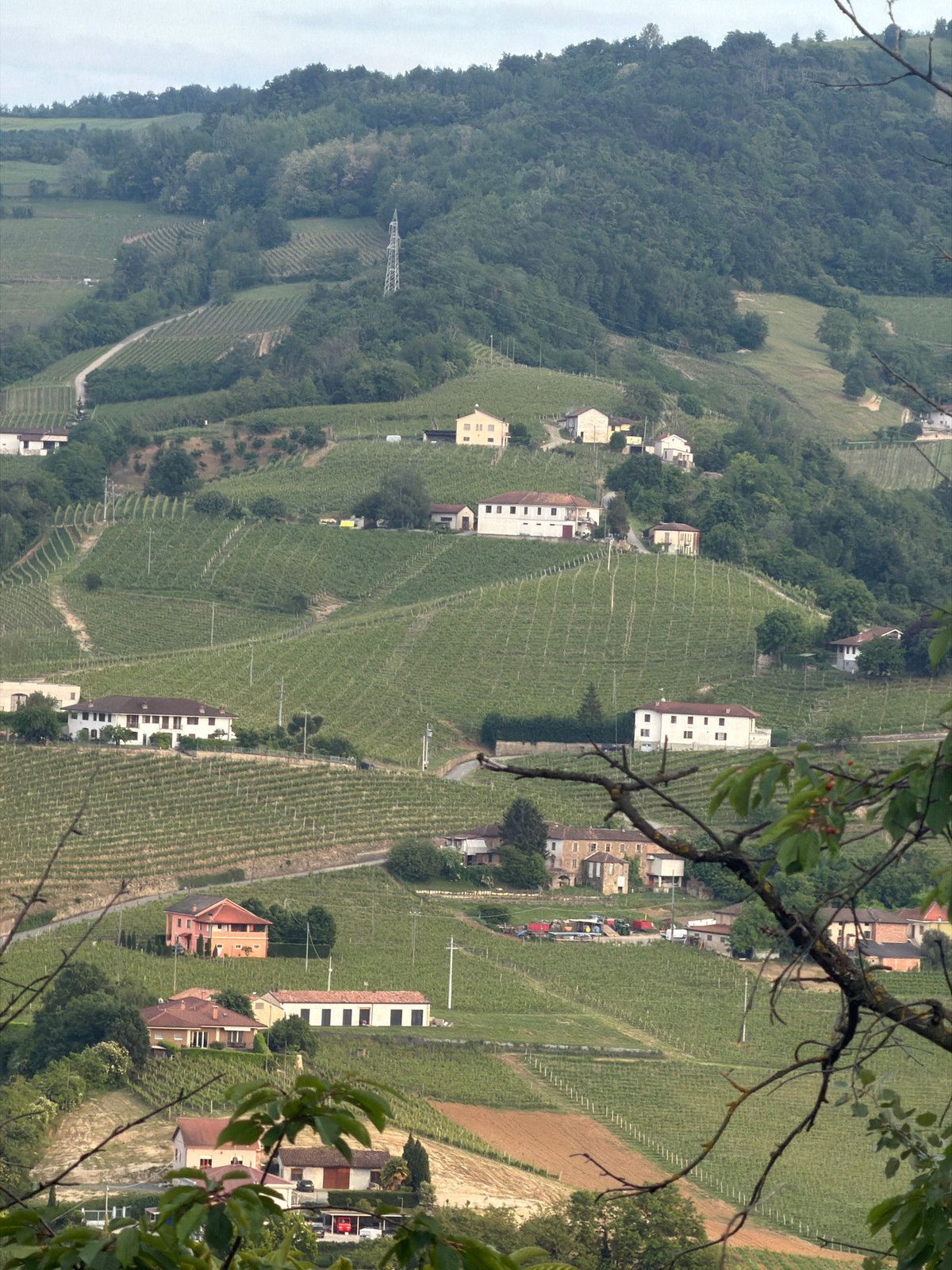 Terraced vineyards and winding roads documented in Santo Stefano Belbo