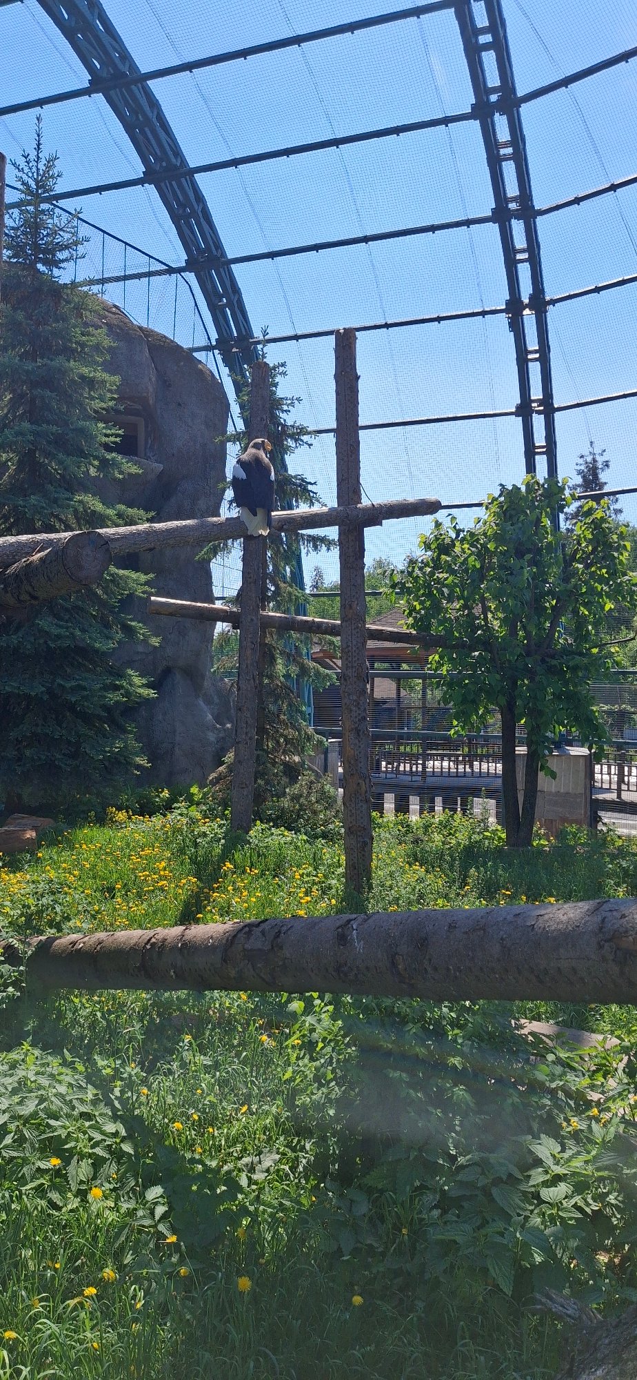 Zoo visitor documents animal exhibits at Izhevsk Zoo, Russia