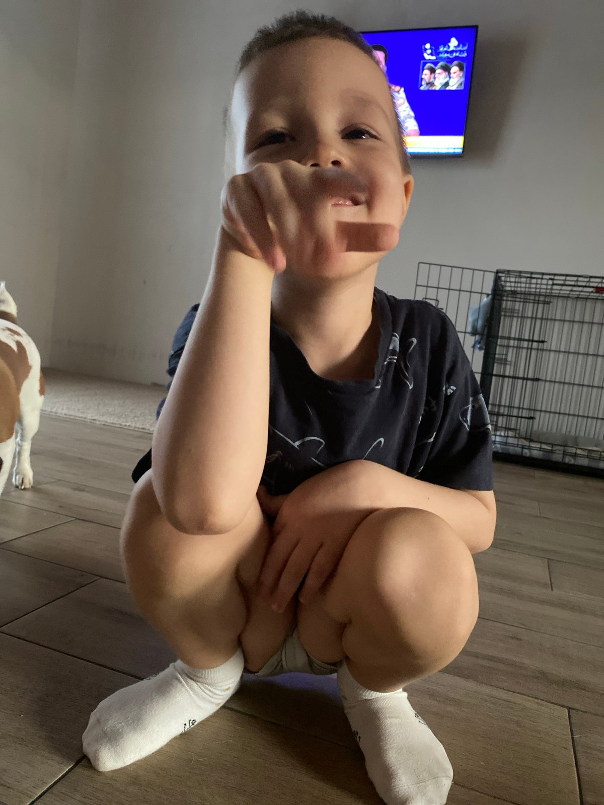 Child's afternoon at home with pet and health check