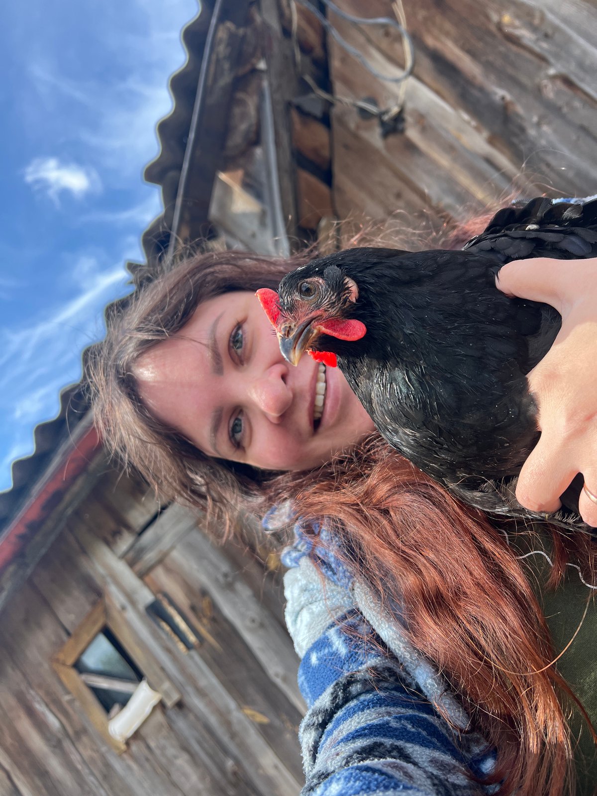 Rural morning documented in Russian village featuring farm life