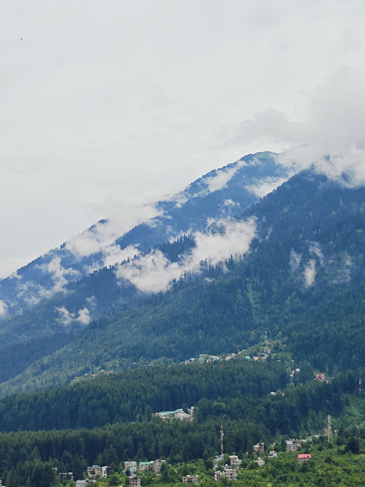 Vashisht village, mountain views, and wildflowers on a cloudy morning