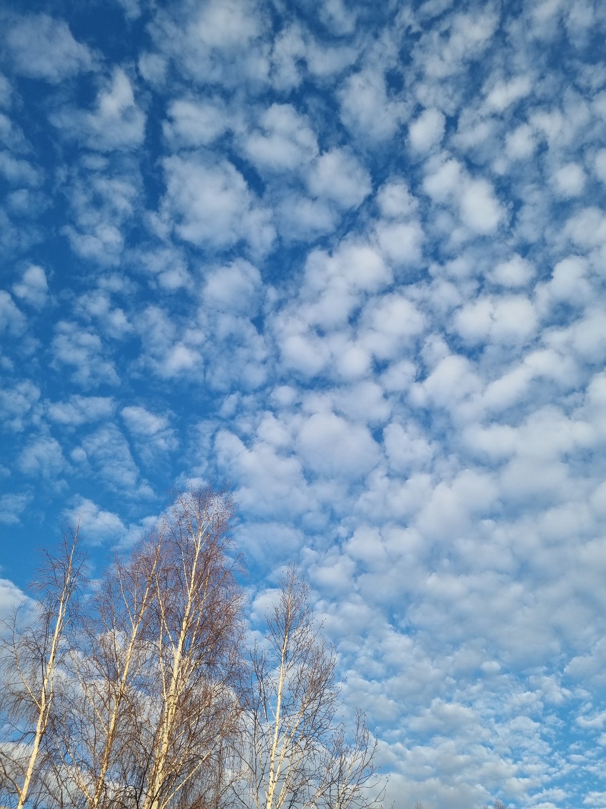 Spring sky with clouds photographed in Kemul, Russia
