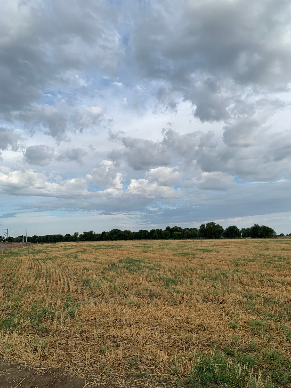 Post-harvest field under cloudy skies in rural Kyrgyzstan