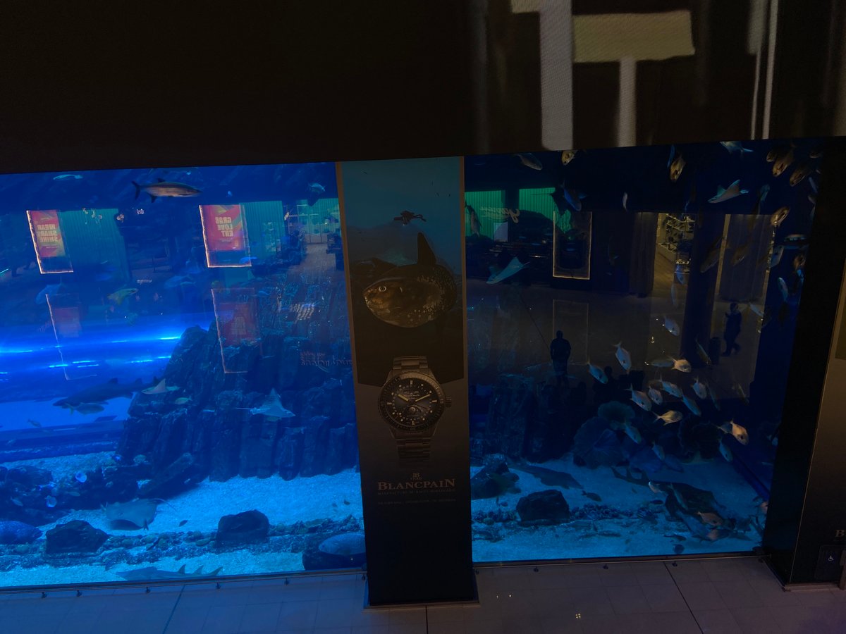 Luxury watch advertisement displayed at Dubai aquarium retail location