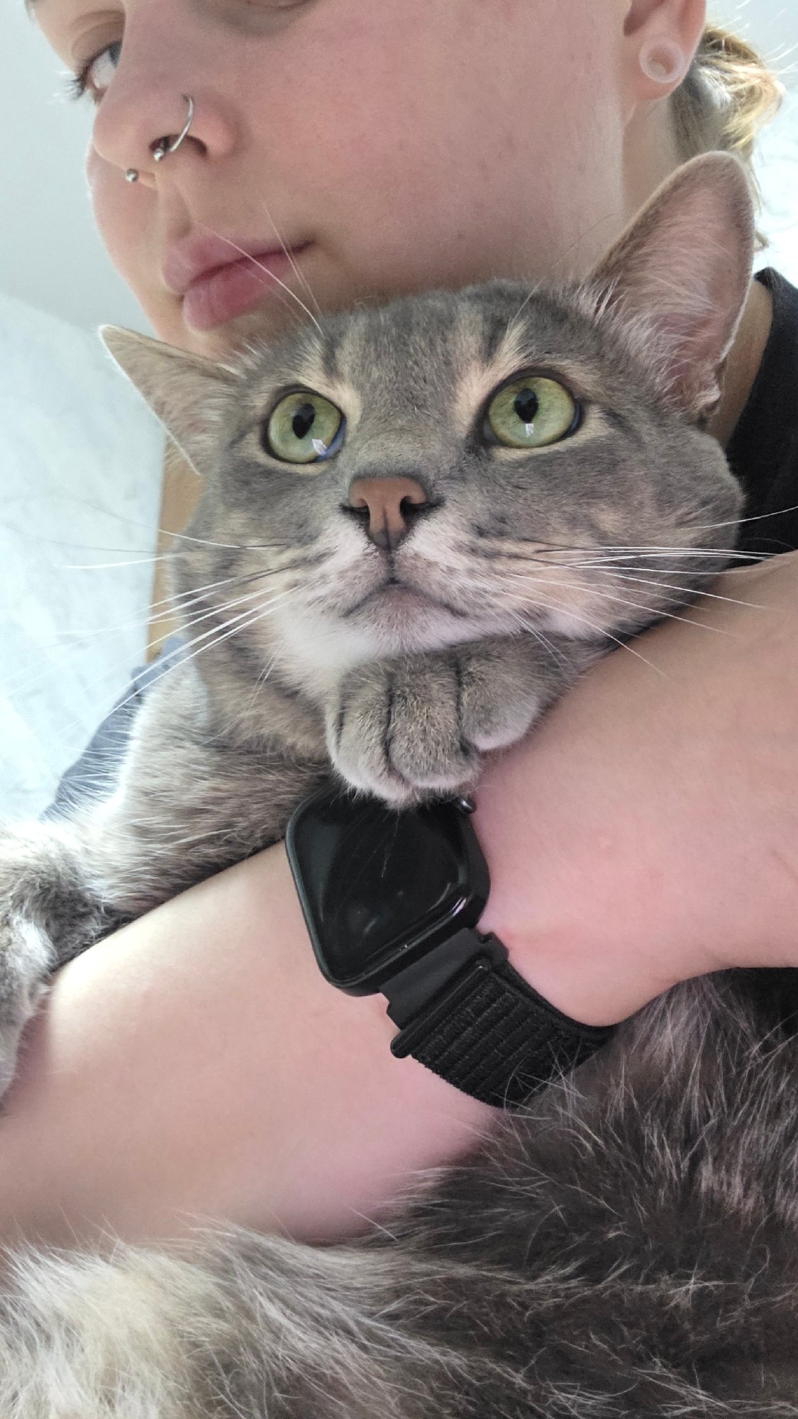 Person with piercings photographed holding gray tabby cat