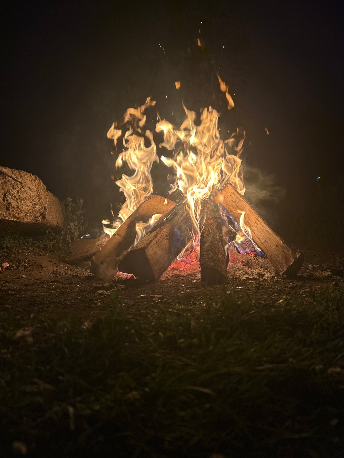 Summer night on the Kama River: boats, bonfires, and a dog