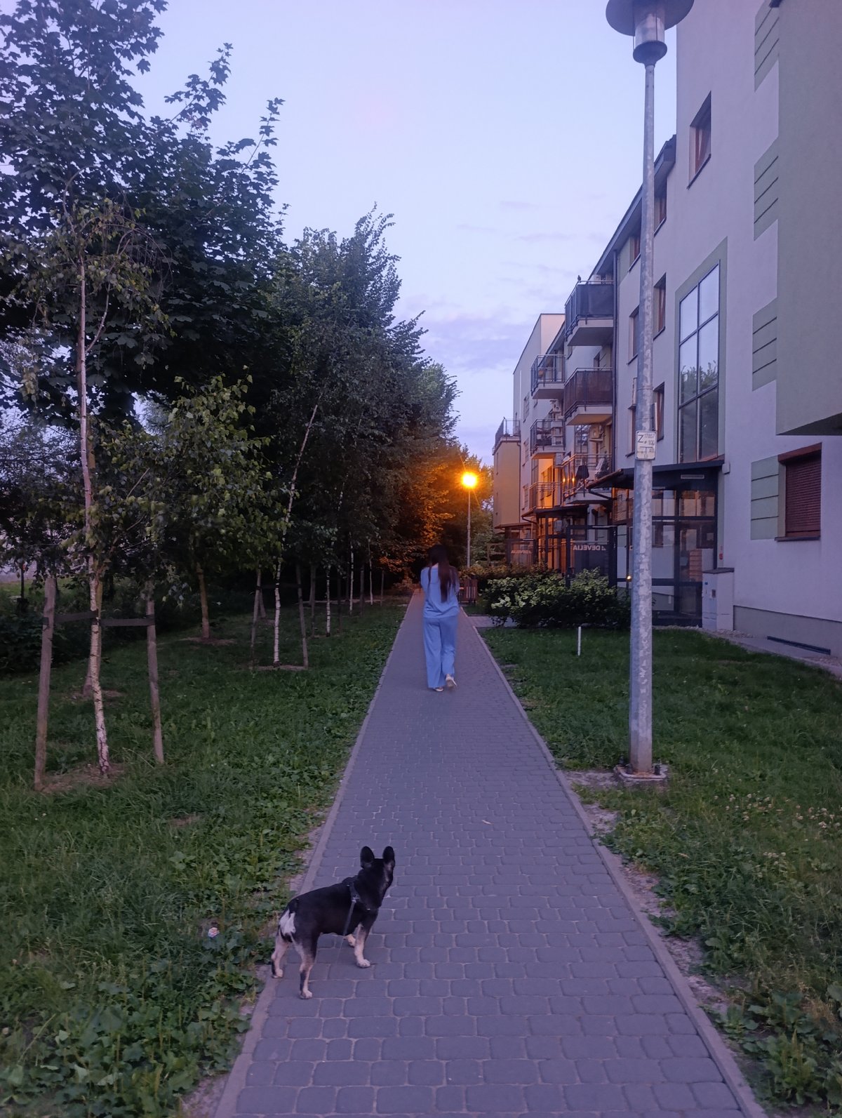Dusk stroll through a Krakow residential area, pets included