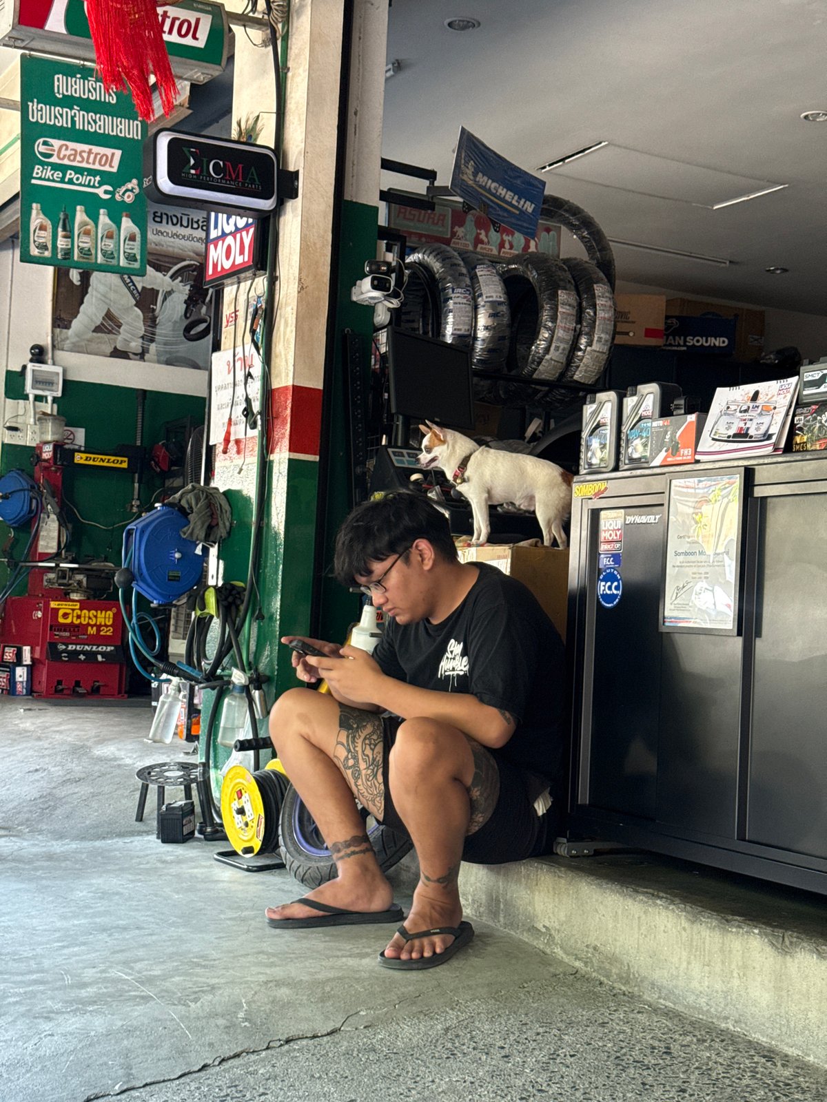Ko Samui repair shop, mid-morning, with the resident shop dog