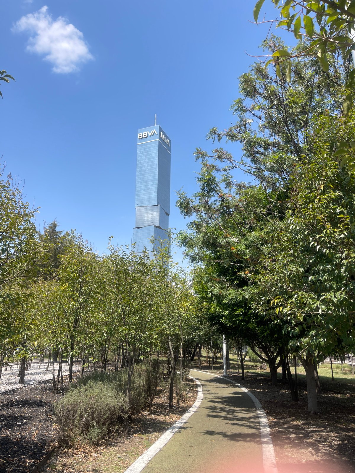 BBVA Tower viewed through trees in Mexican green space