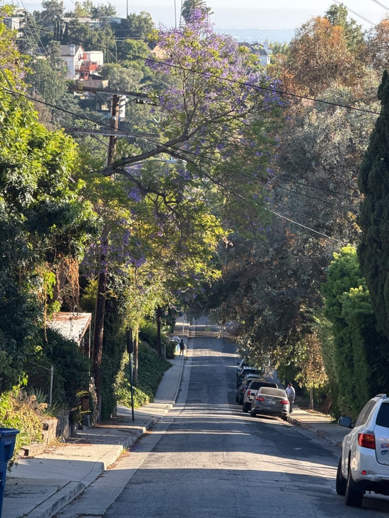Late-night pedestrian walks steep Los Angeles residential street