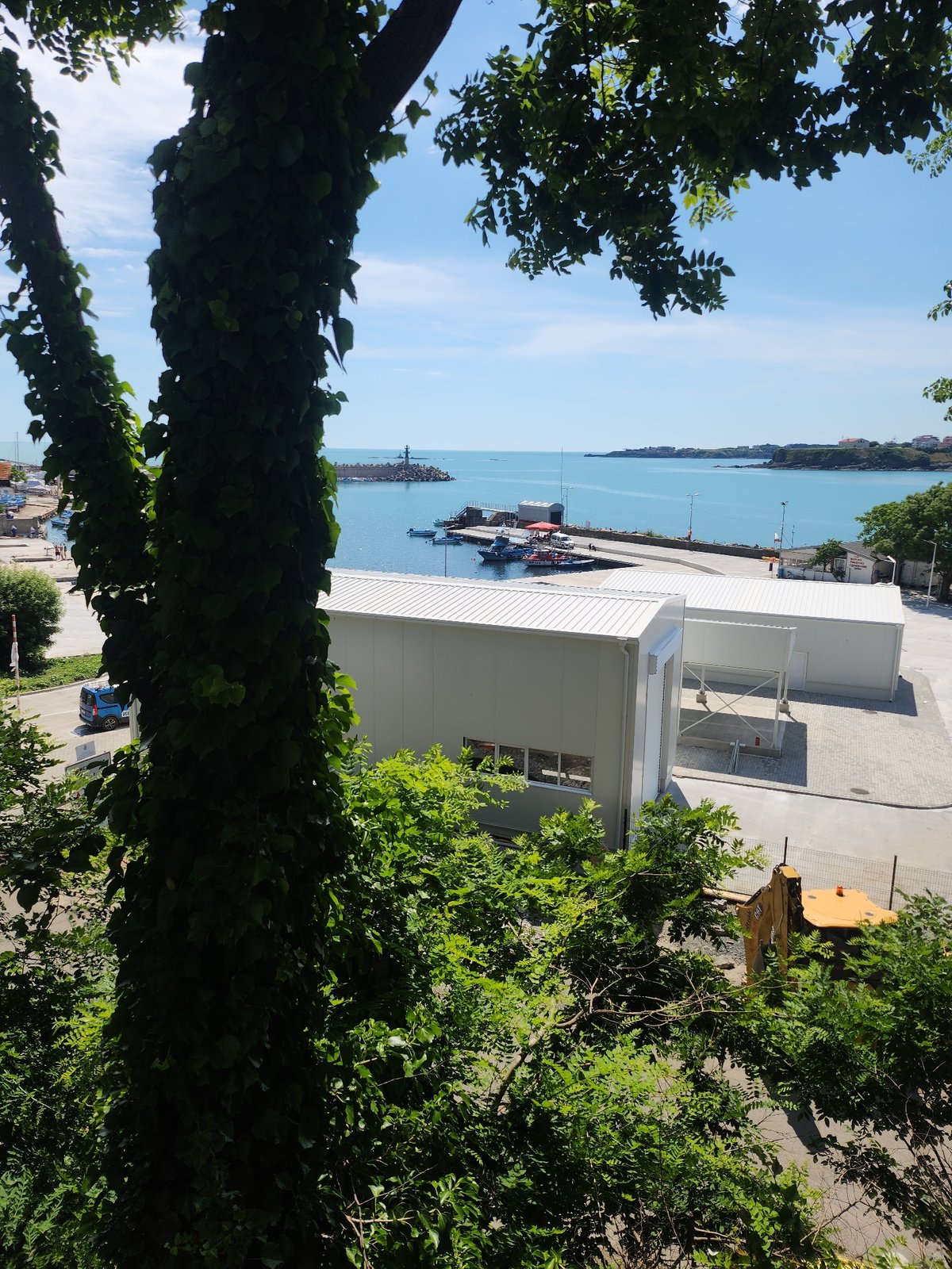 Sunny harbor views through greenery in Tsarevo, Bulgaria