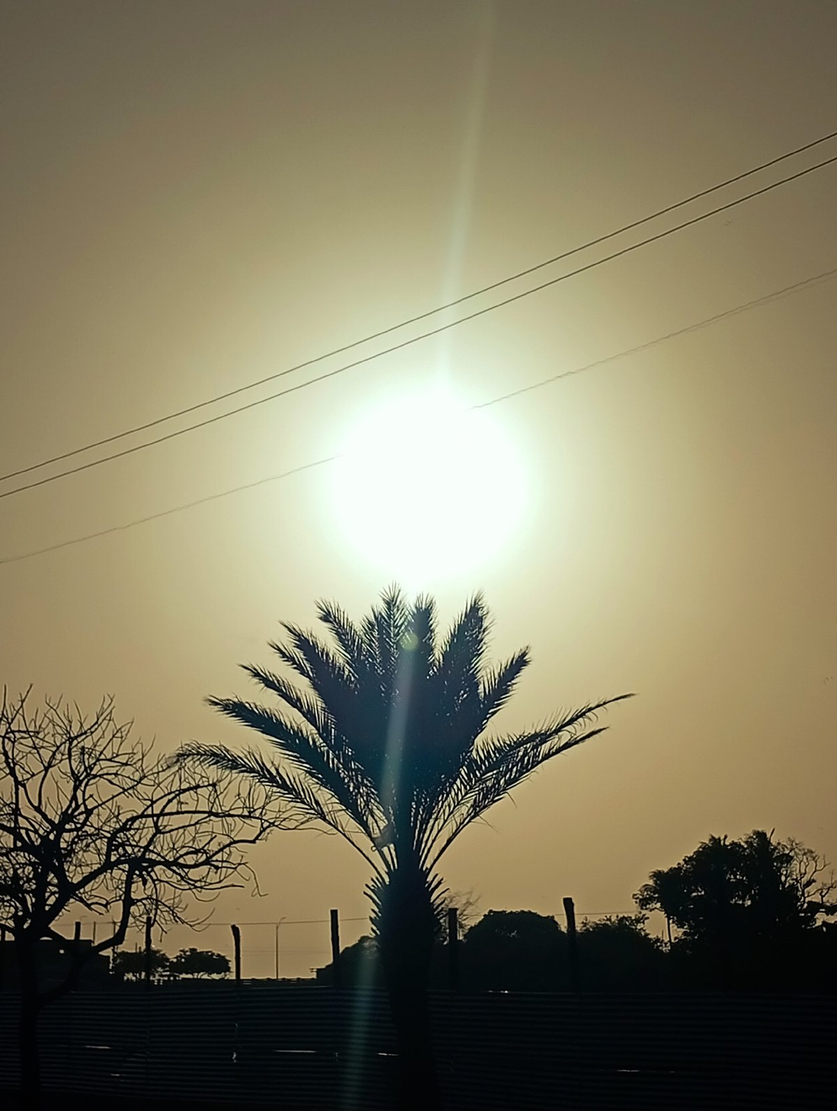 Evening scenes and daily life captured in Juan Griego, Venezuela