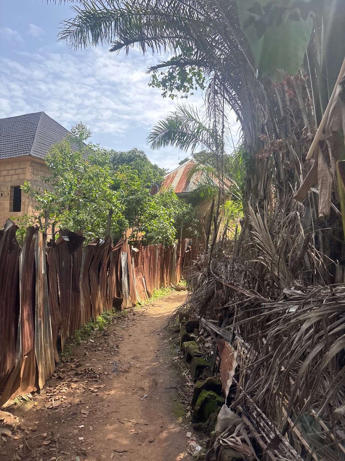 Jos streets, a jungle bridge, and TV drama clips mixed together