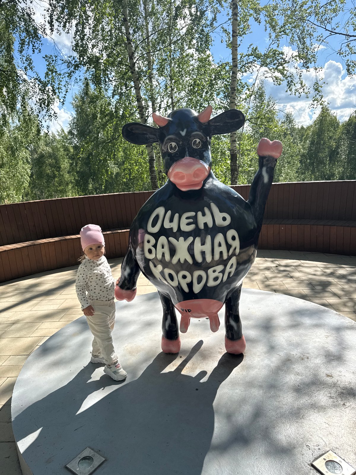 Family outing with toy car and pets documented in Russian park