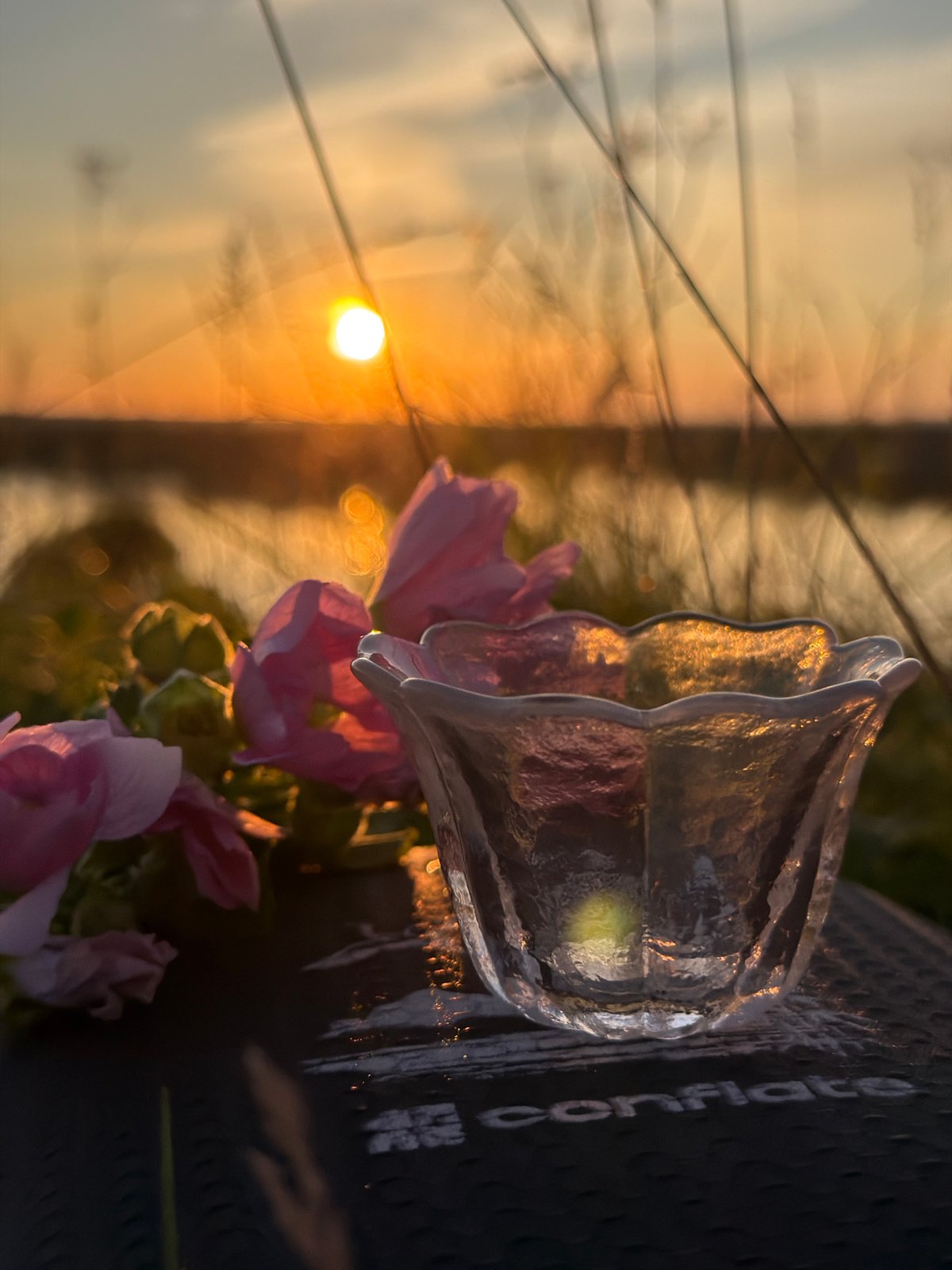 Sunset hillside gathering in Ольховка with hollyhocks and river views