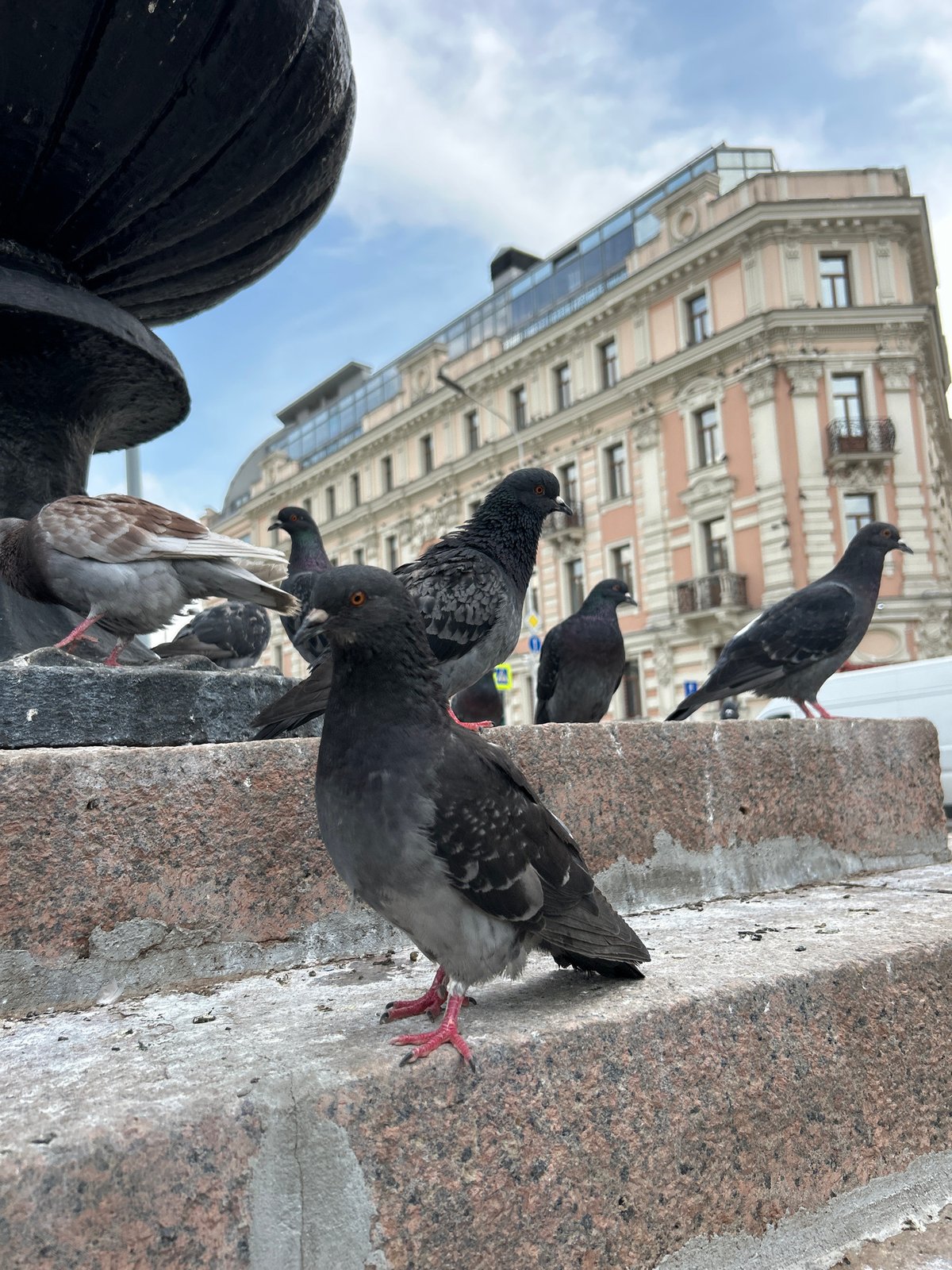 Flower-covered vintage vehicles and pigeons at Pushkin Square, Moscow