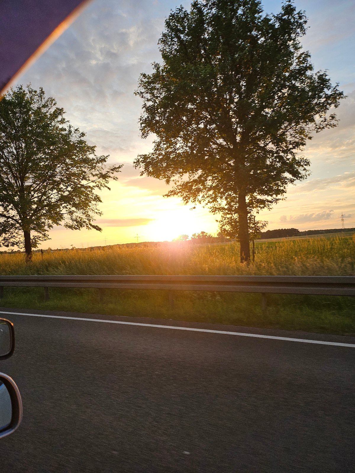 Vehicle passenger photographs roadside landscape in Hoppegarten, Germany