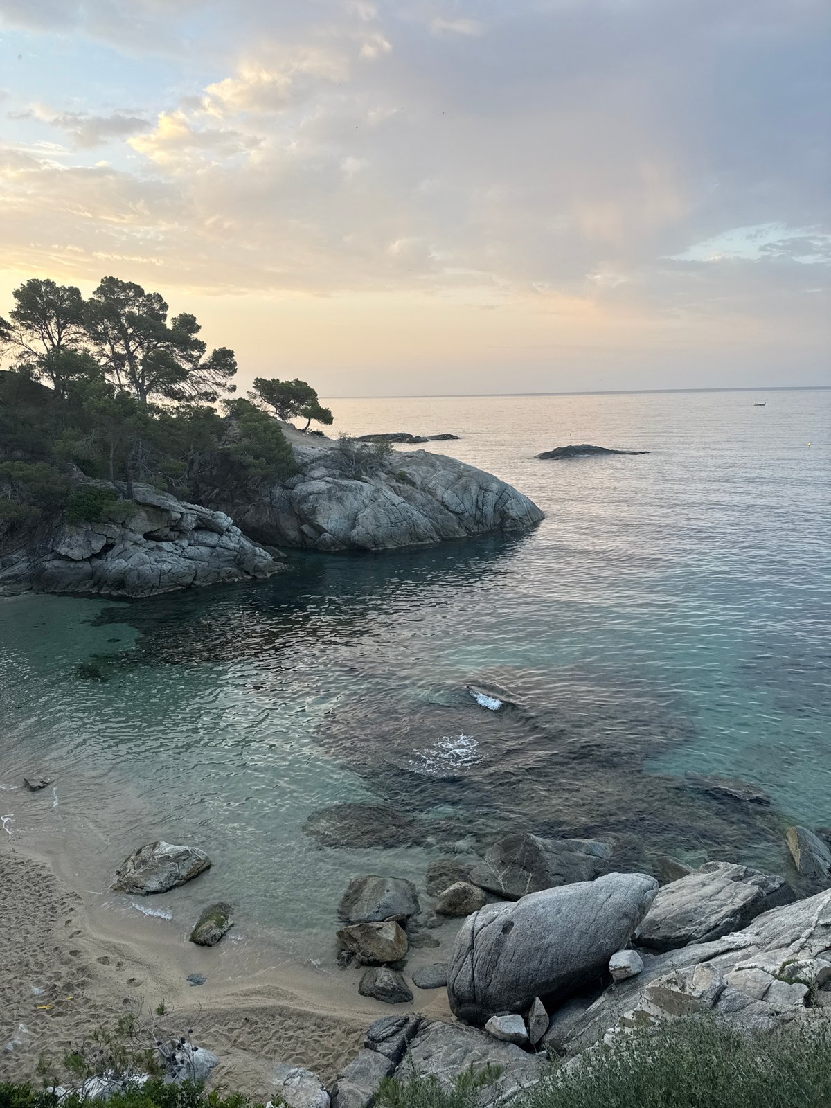 Rocky Costa Brava coastline at sunset, pine trees and turquoise water