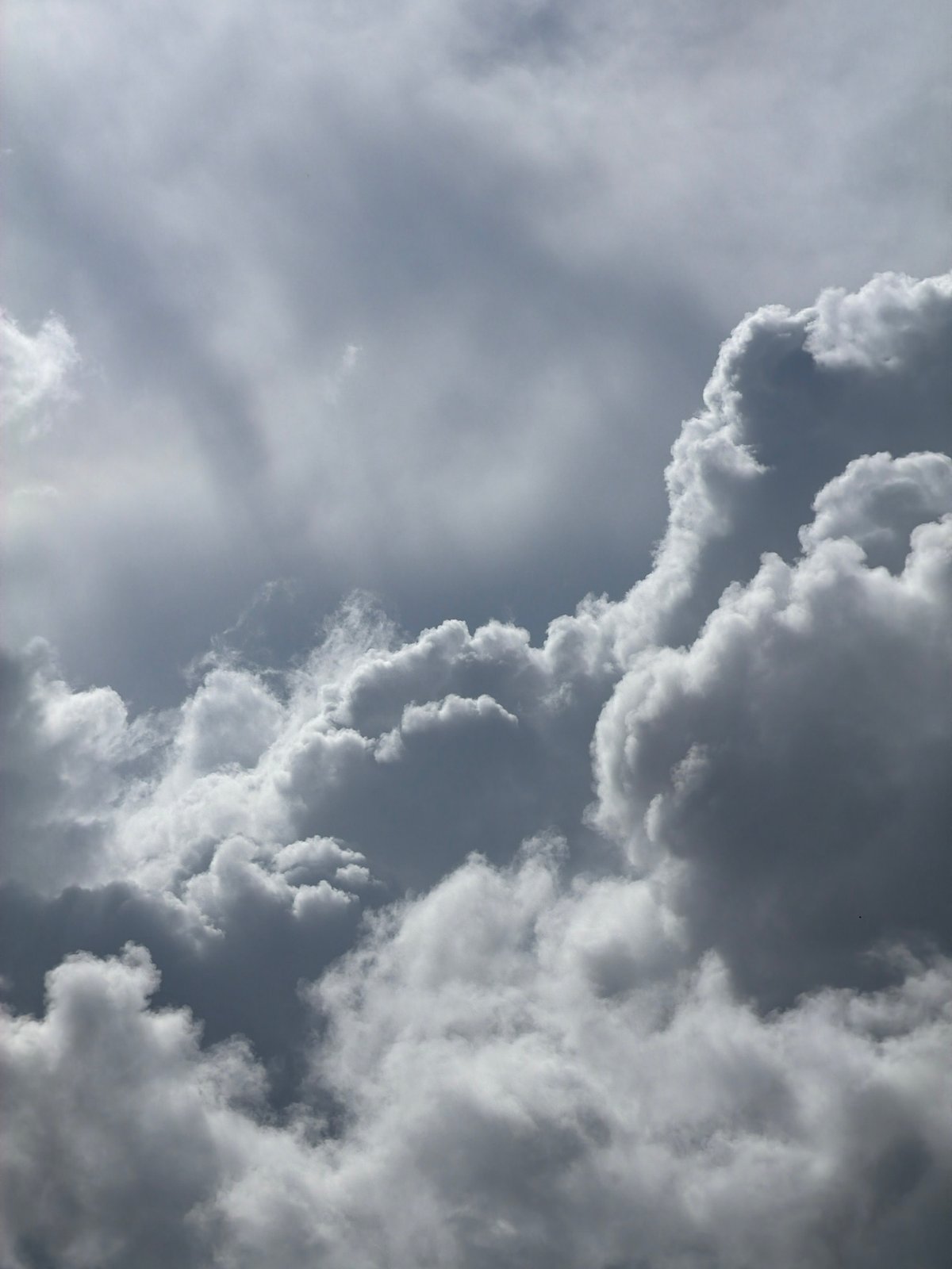 Cloudy morning tarot reading session observed in North Kuta