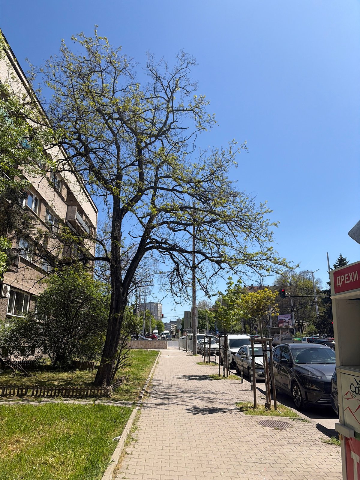 Spring morning street scenes documented across Sofia, Bulgaria