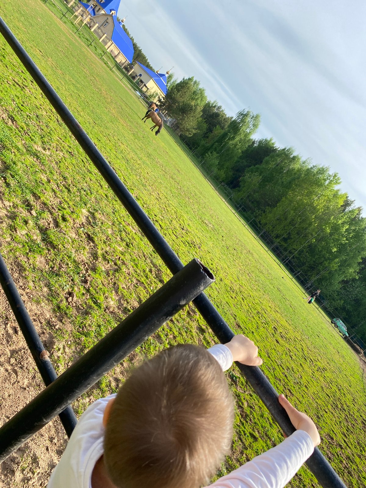 Family visits horses at Chaikovsky paddock, child plays by fence