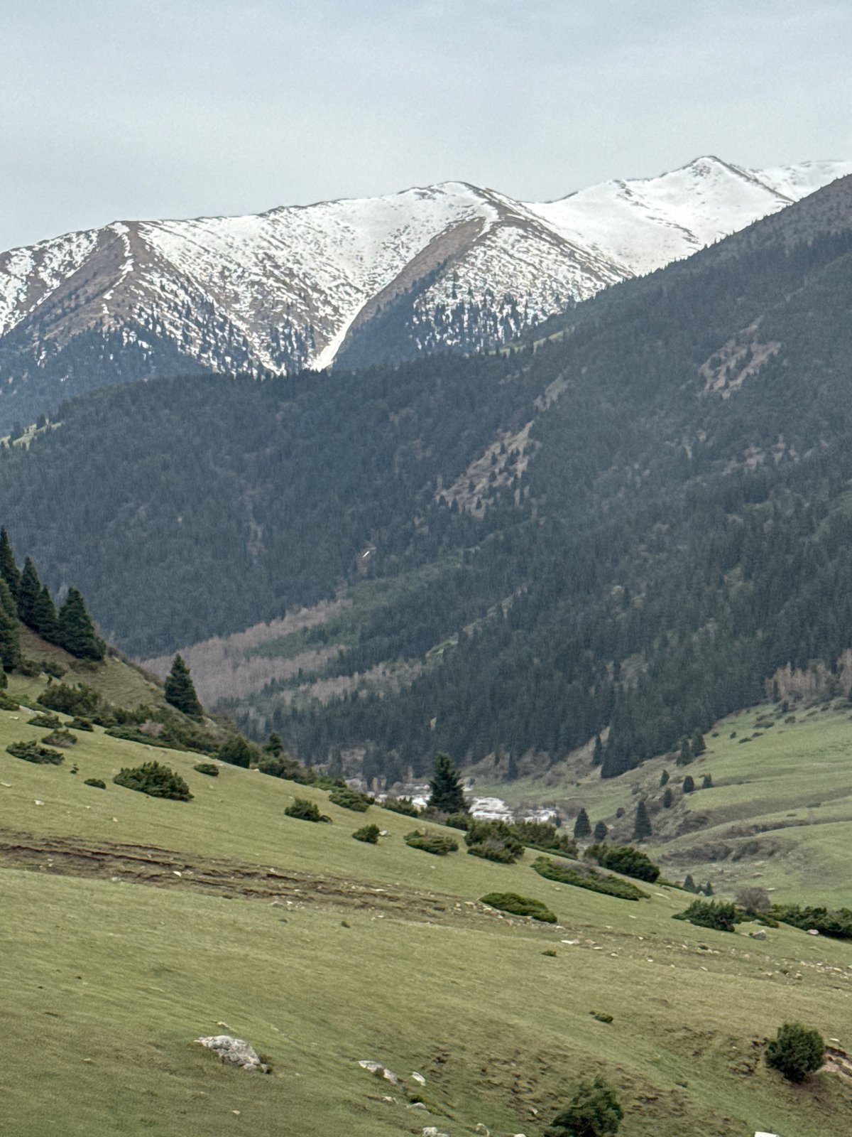 Snow-capped mountain range documented in Grigor'yevka, Kyrgyzstan