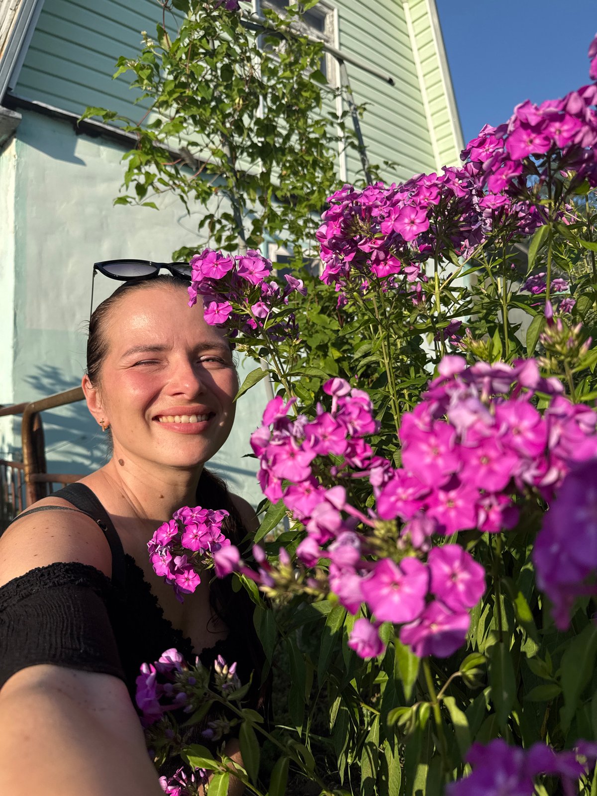 Garden in bloom: roses, hydrangeas, and daylilies up close