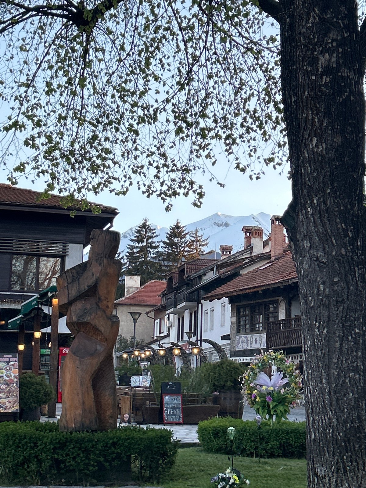 Spring afternoon documented in Bansko: mountains, flowers, golden retriever