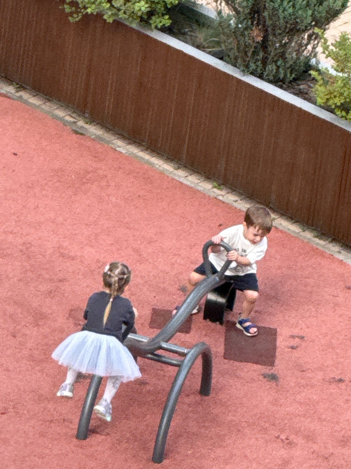 Afternoon in a Moscow park: kids, dogs, and yoga