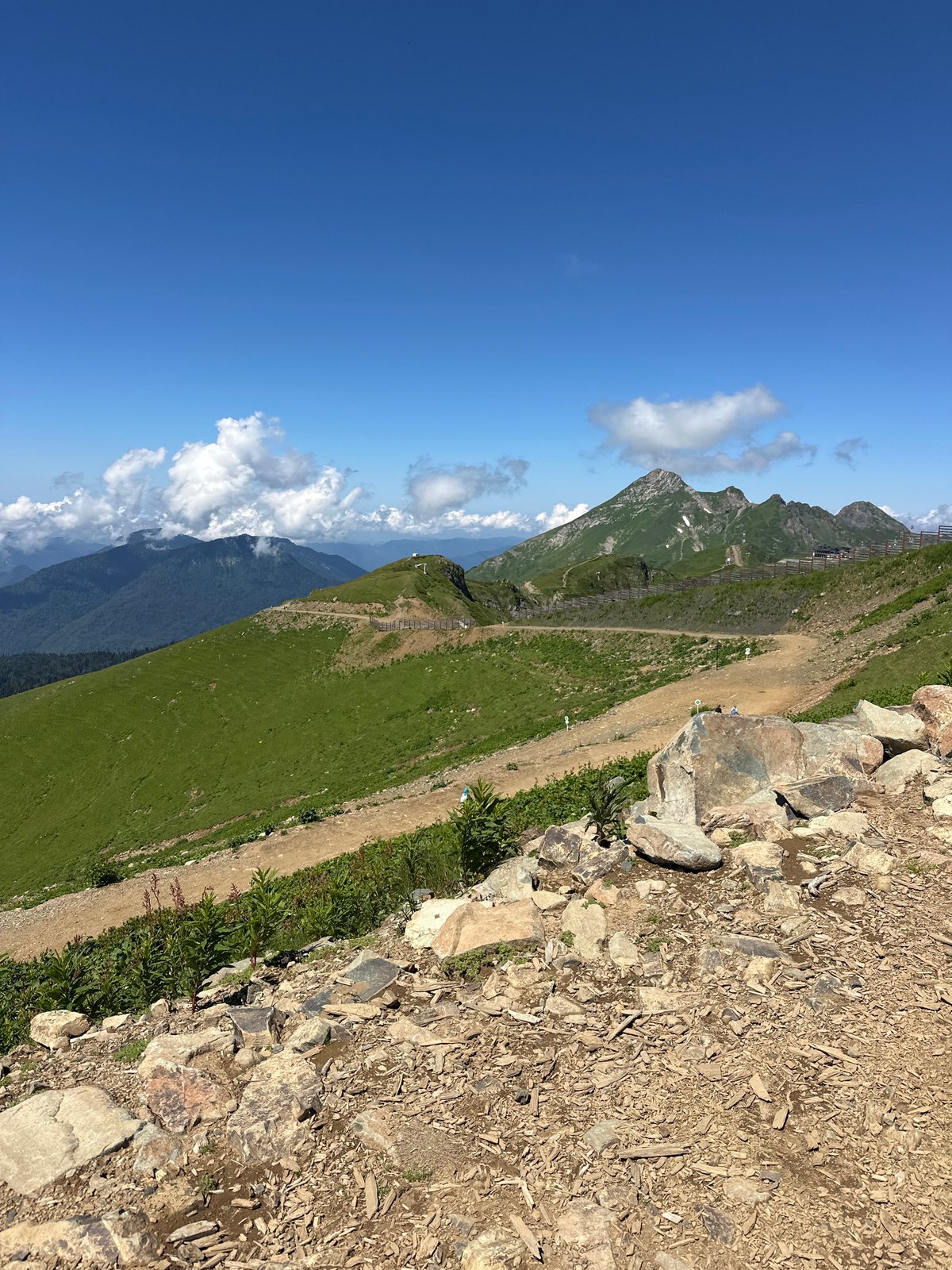 Summer mountain scenes from Estosadok's slopes and trails