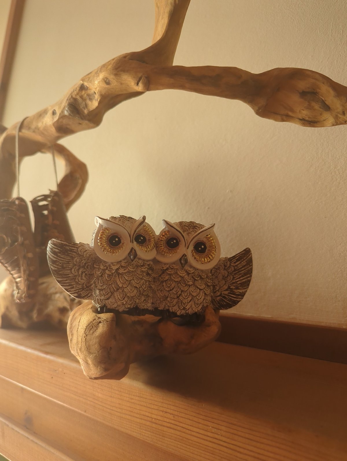 Morning domestic scenes documented in Septemvri home