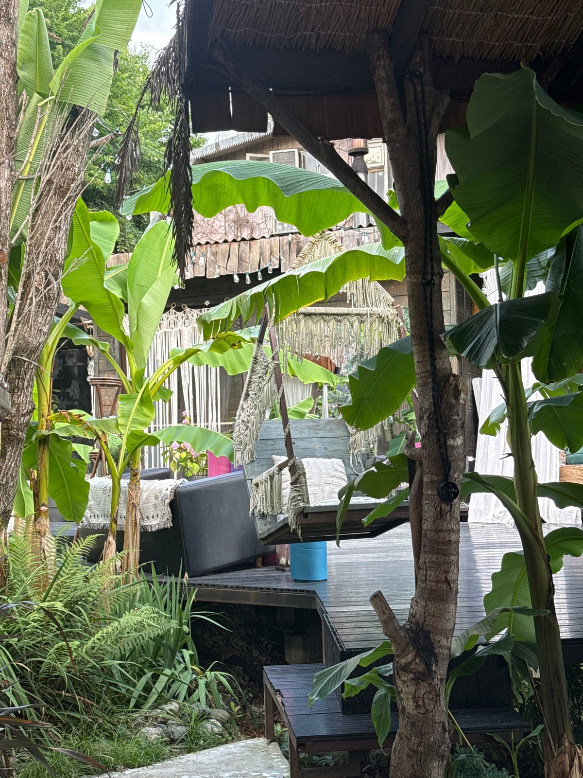 Bohemian café in Sochi, tea service set among tropical greenery