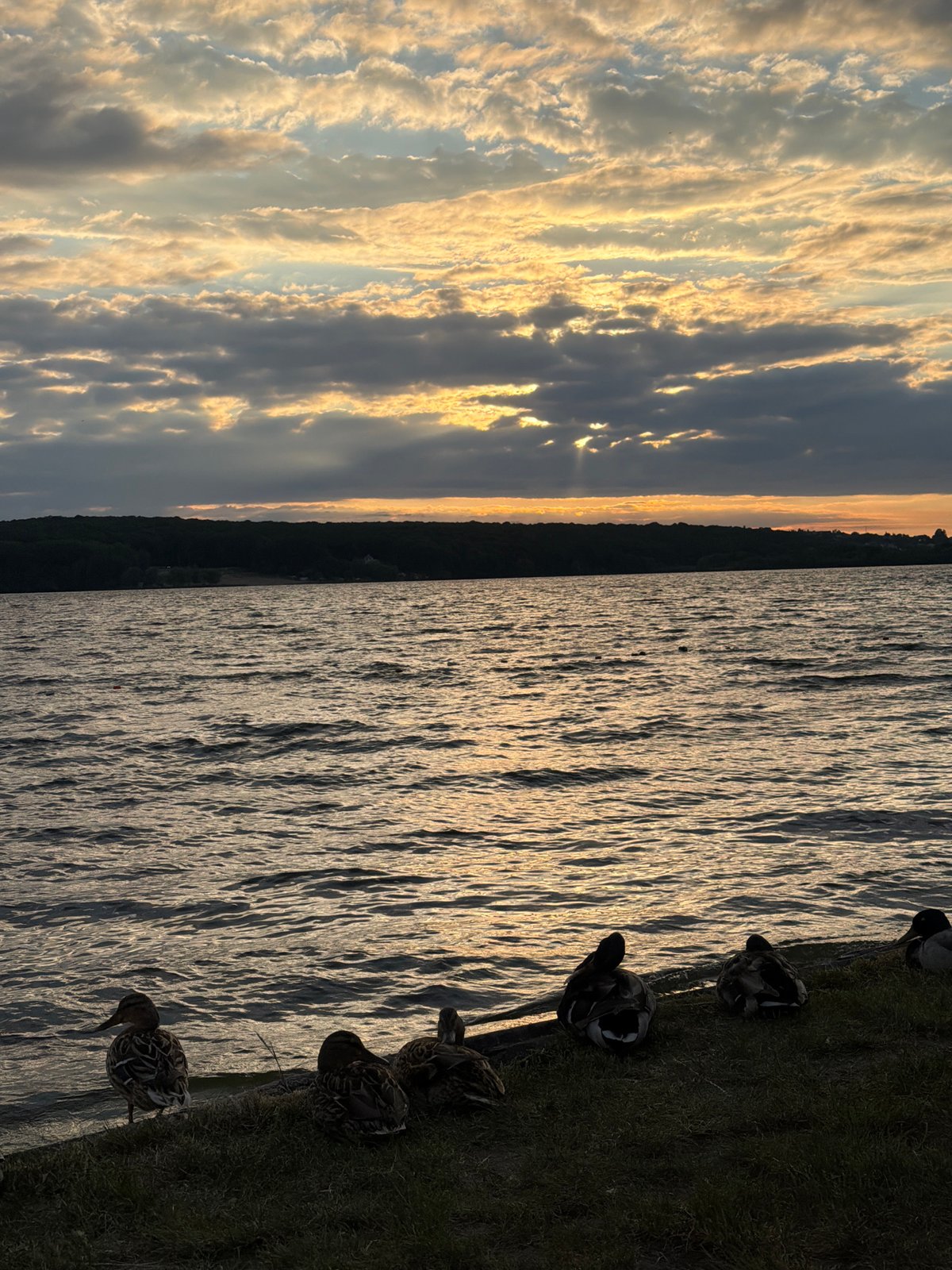 Sunset gatherings documented along Ternopil Lake waterfront in Ukraine