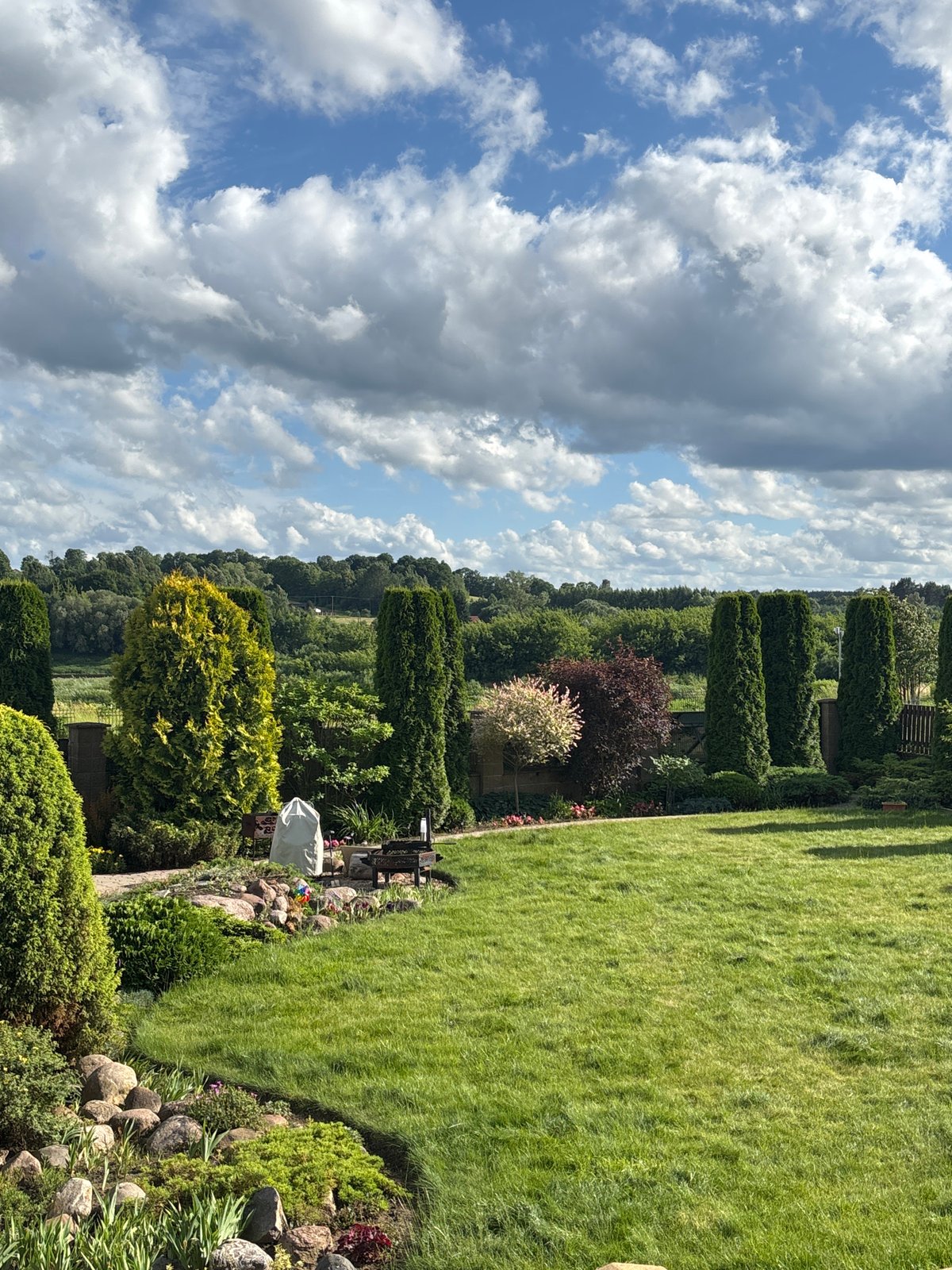 Garden views and marker drawings from a Daugavpils afternoon